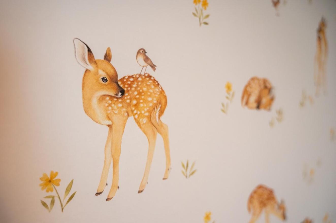 Le Val Des Cerfs - Het Hertendal 4*